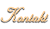 Kontakt
